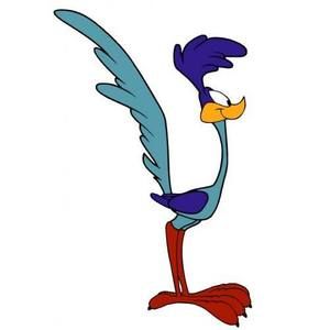 Meet your Posher, Roy